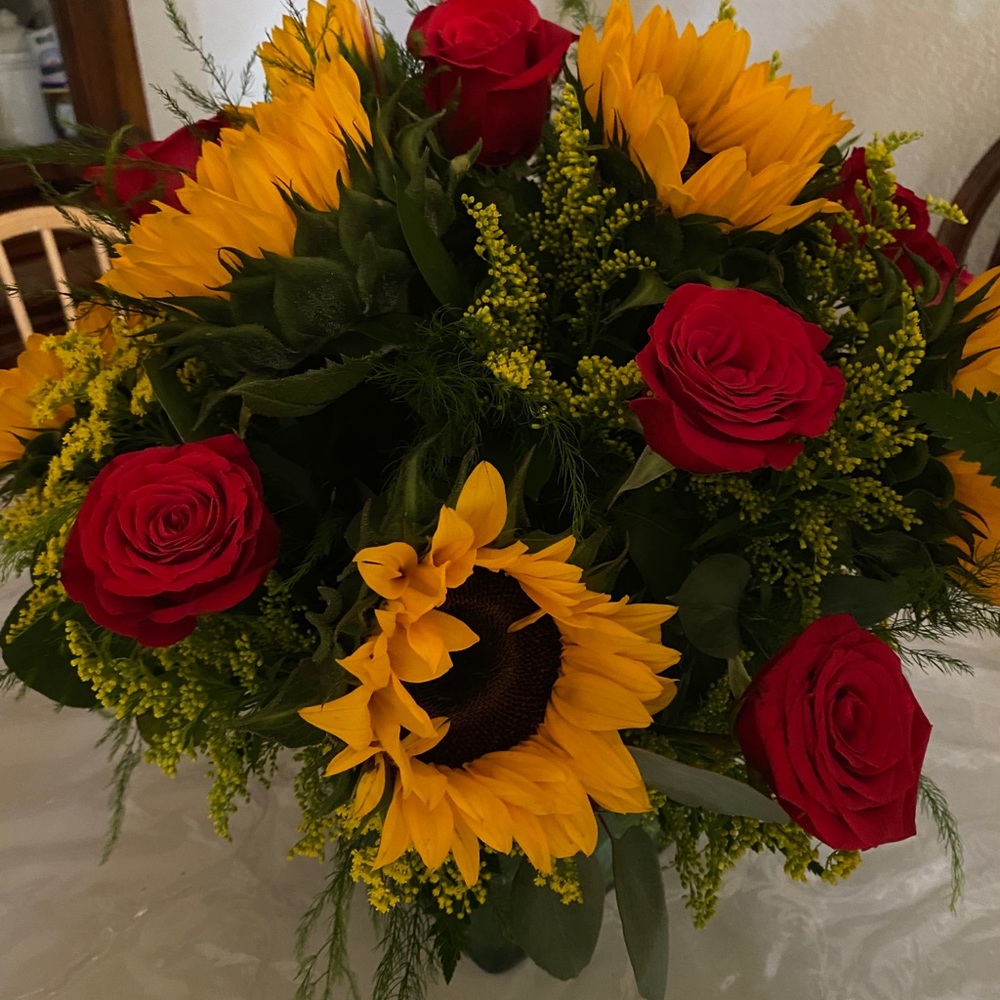 Meet your Posher, Ann